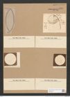 Surirella chilensis Jan. (de-Toni-Nr.: Genus 53, Species 2380) Zeichnungen Sammlung Grunow Nr. 4784 (NHMW-BOT-W0372920)